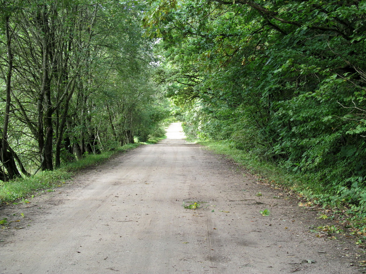 Рутковский пригорок, image of landscape/habitat.