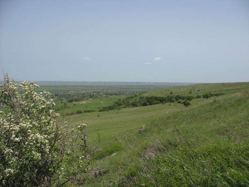 Окрестности Шишкино, изображение ландшафта.