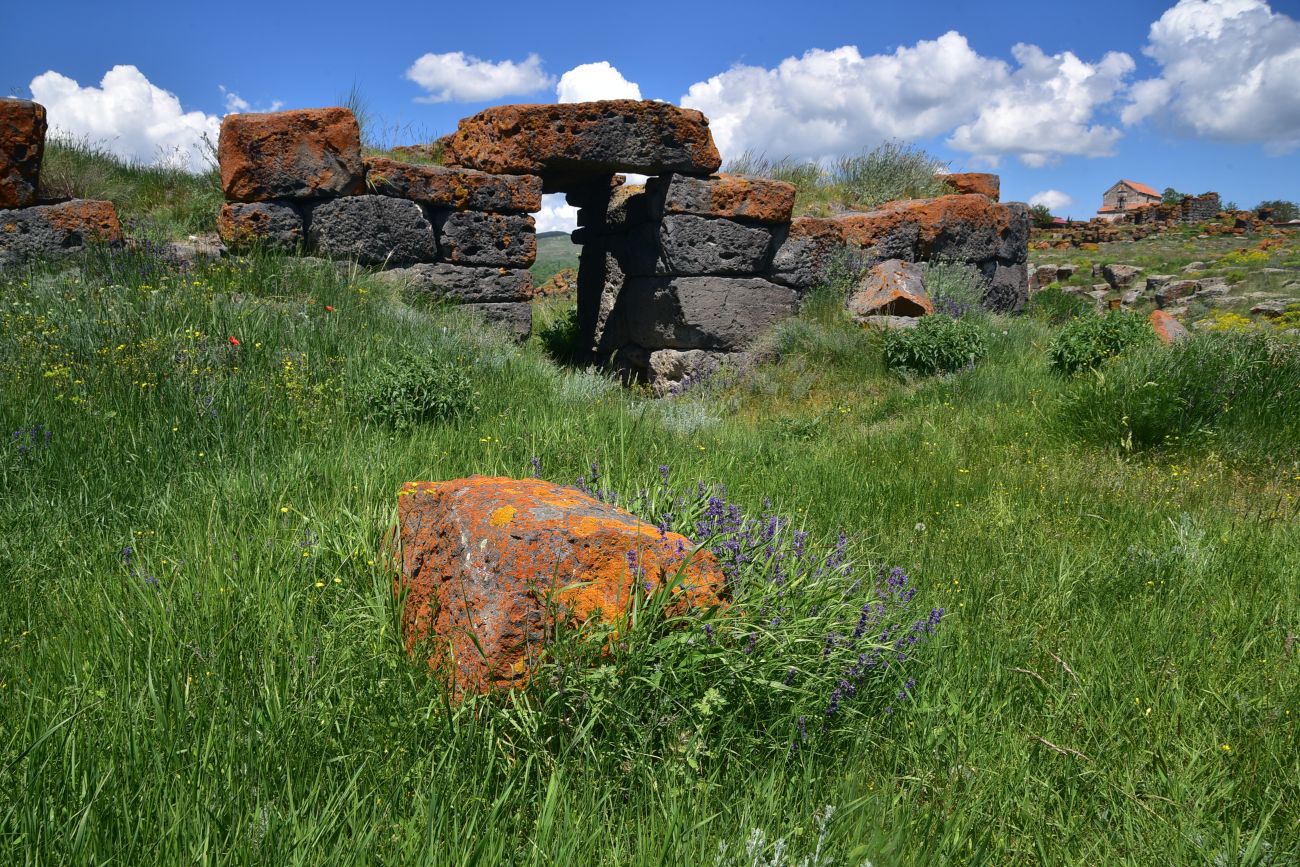 Окрестности села Саро, image of landscape/habitat.