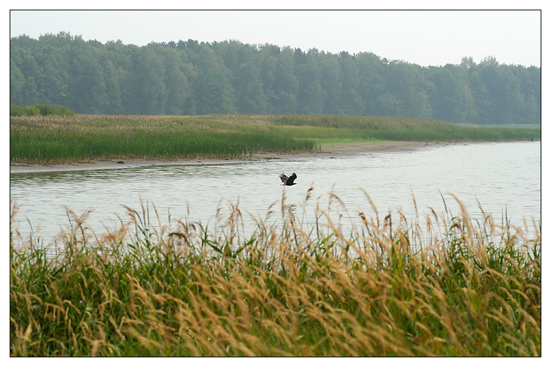 Саралы, image of landscape/habitat.