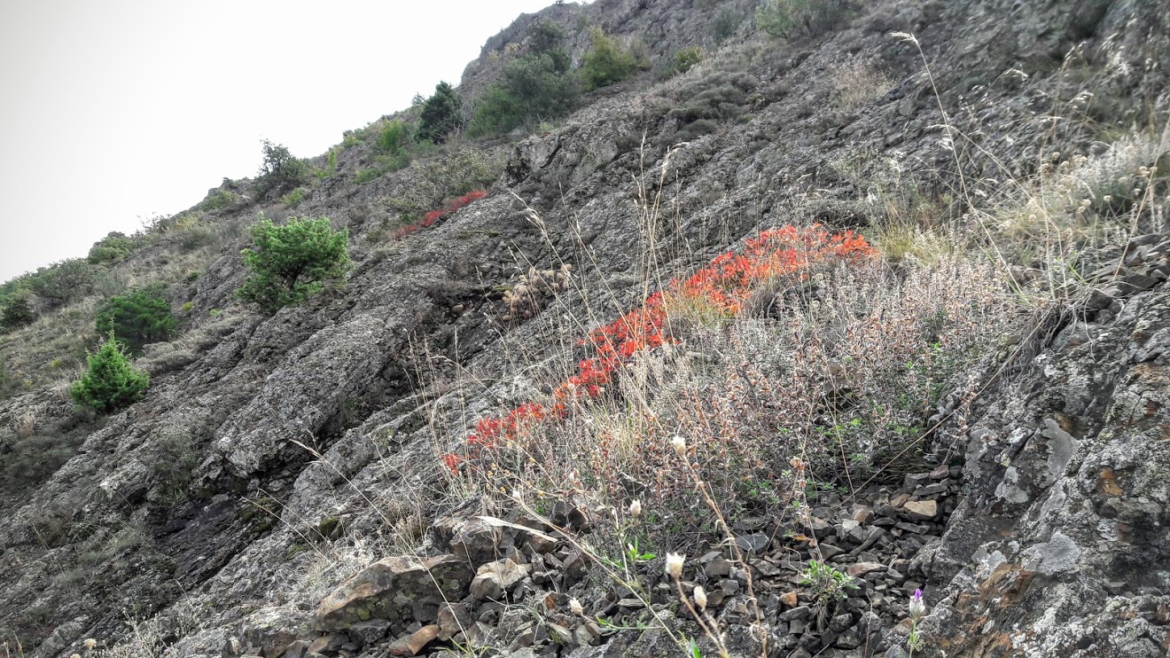 Аюдаг, image of landscape/habitat.