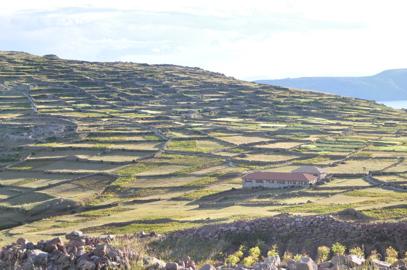 Остров Амантани, image of landscape/habitat.