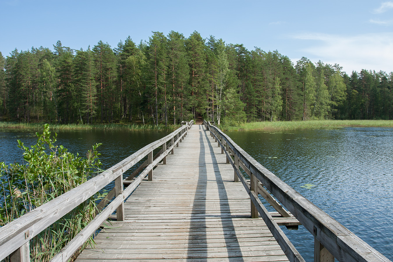 Харьюн Портти и окрестности, image of landscape/habitat.