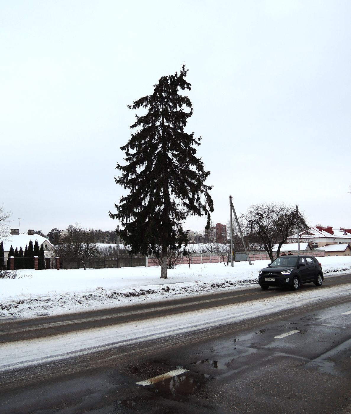 Гродно, изображение ландшафта.