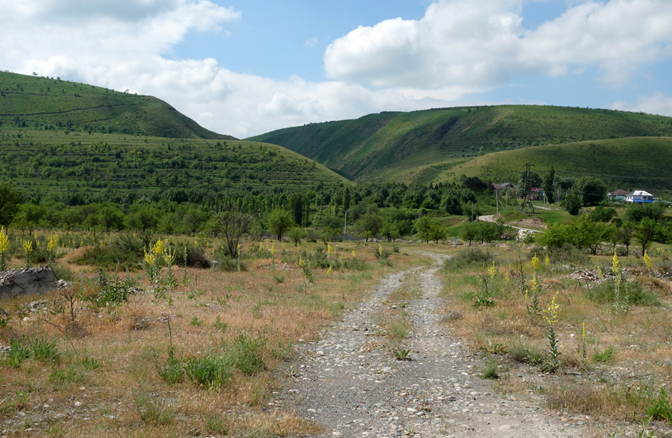 Окрестности Бишкека, предгорье, image of landscape/habitat.