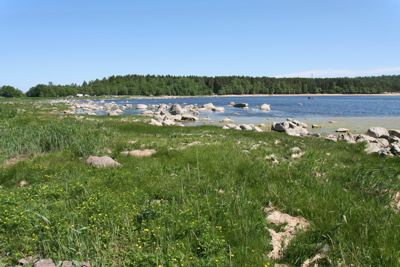 Шепелёвский маяк, image of landscape/habitat.