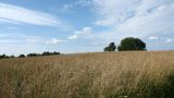 Image of landscape