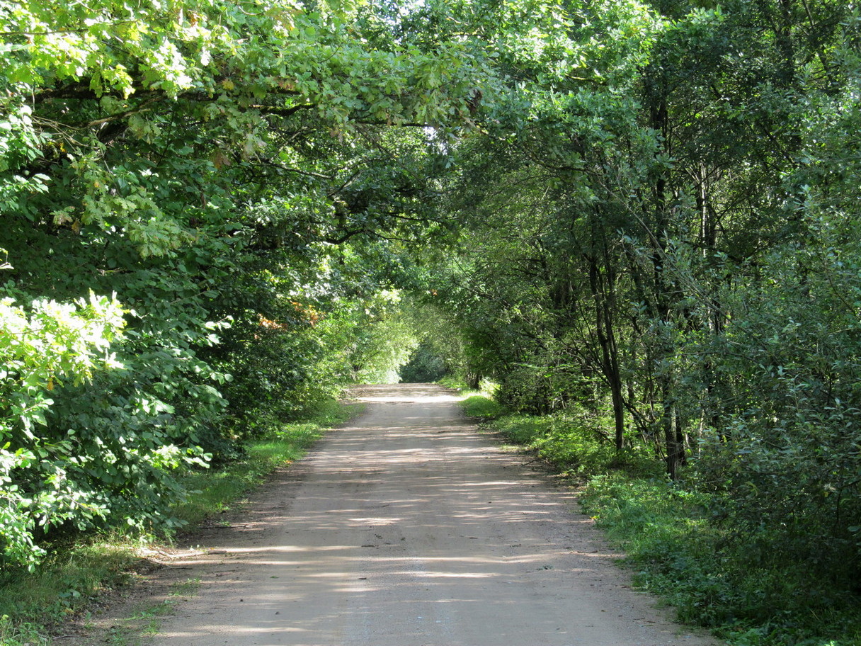 Рутковский пригорок, image of landscape/habitat.