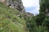 Image of landscape
