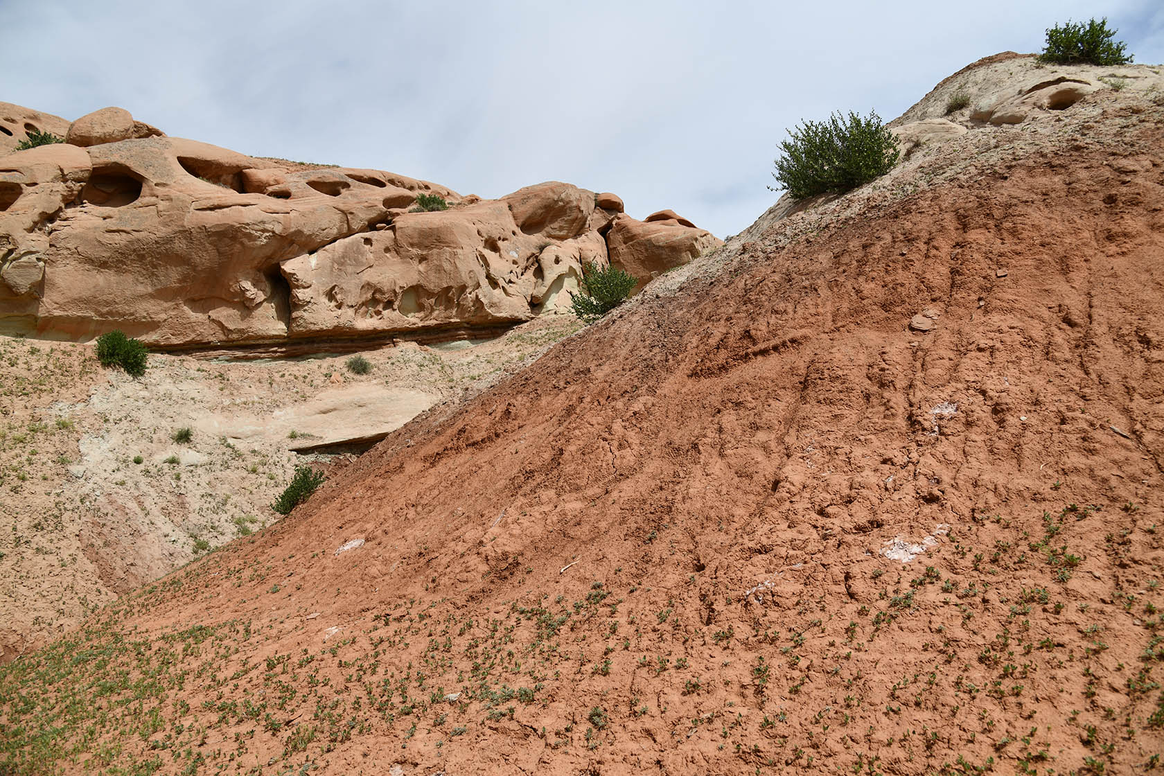 Перевал Дандан-Чикан, image of landscape/habitat.