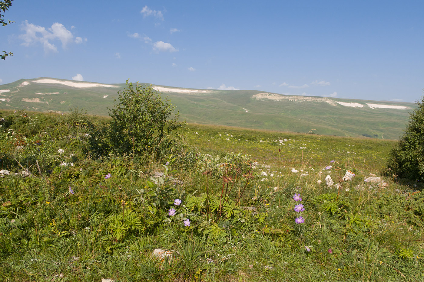 Окрестности Азишского перевала, изображение ландшафта.
