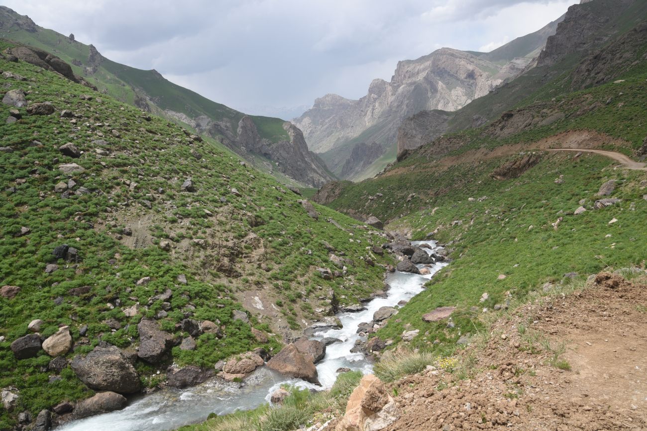 Базовый лагерь, image of landscape/habitat.