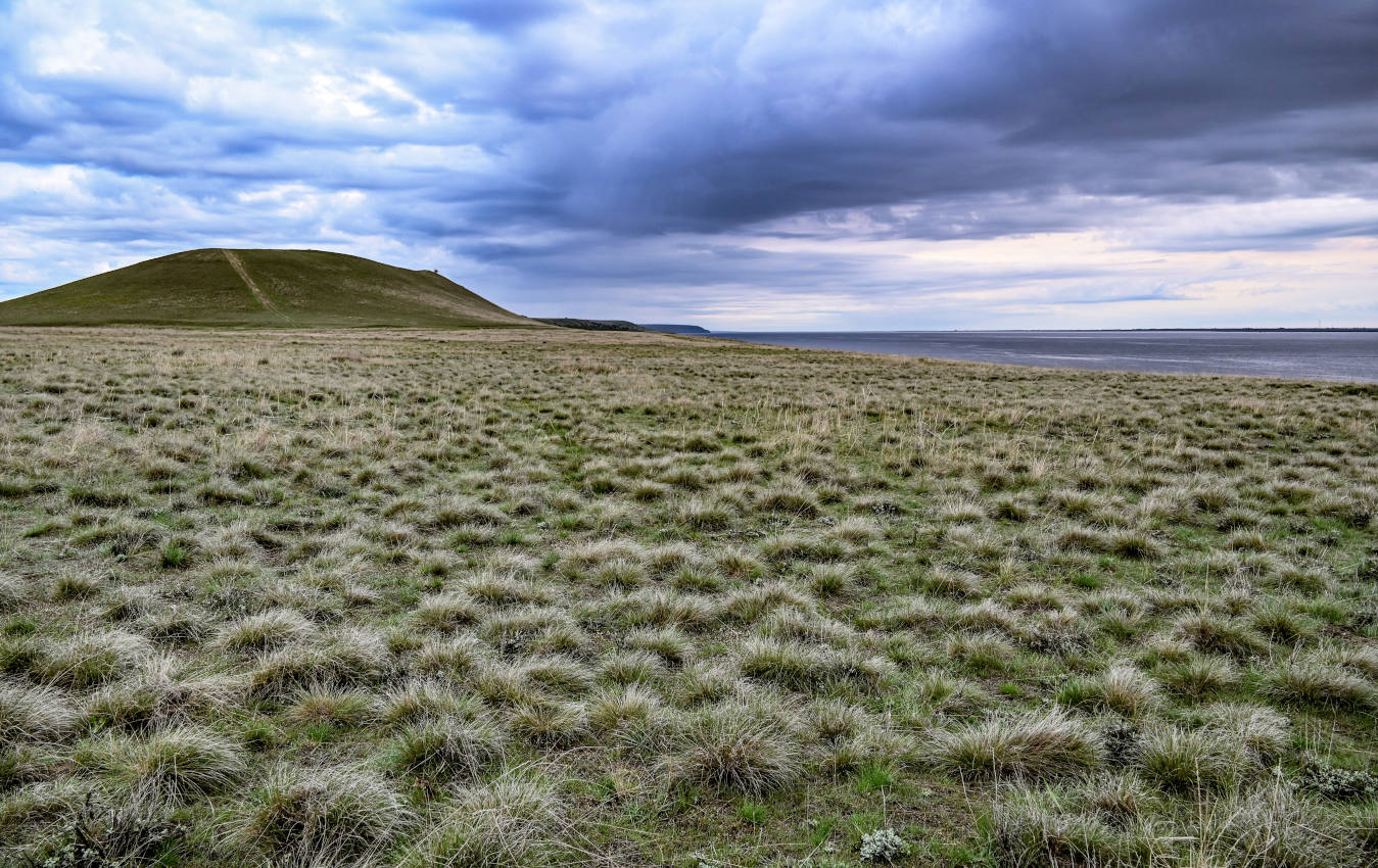 Александровский грабен, image of landscape/habitat.
