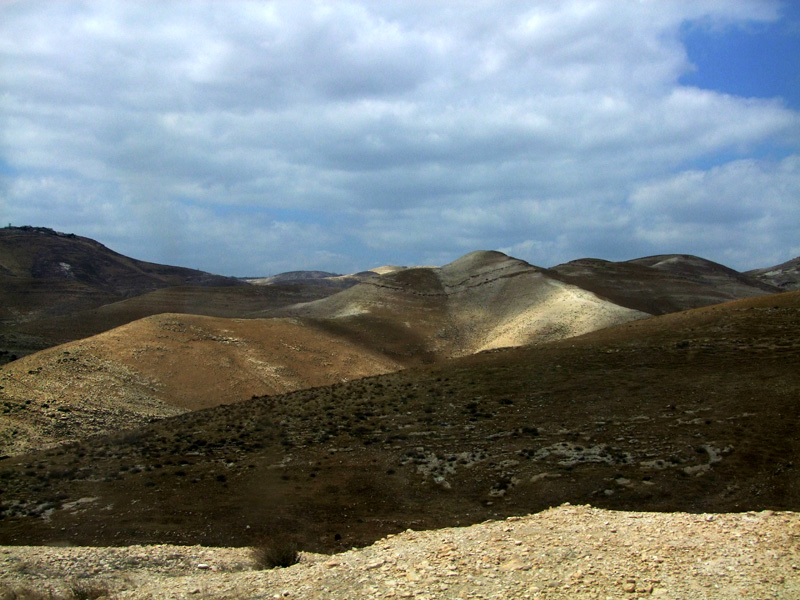 Иудейская пустыня, image of landscape/habitat.