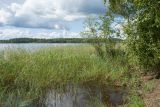 Харьюн Портти и окрестности, image of landscape/habitat.