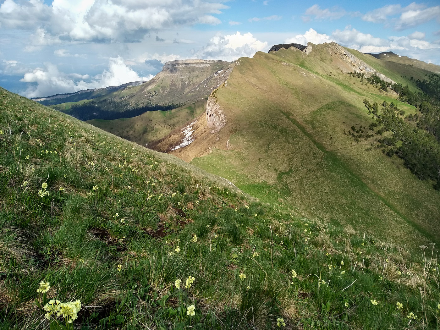 Хребет Агиге, image of landscape/habitat.