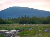 Image of landscape