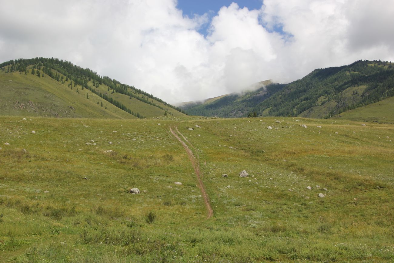 Окрестности ручья Барбыш, image of landscape/habitat.