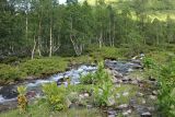 Долина реки Малая Дукка, image of landscape/habitat.