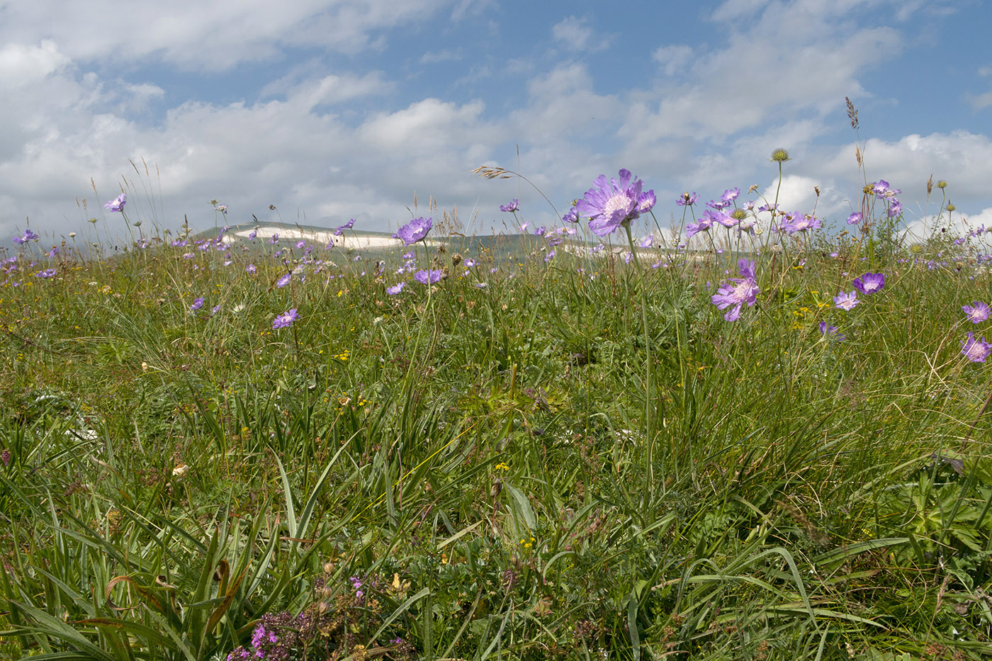Окрестности Азишского перевала, изображение ландшафта.