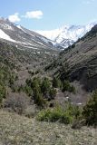 Image of landscape