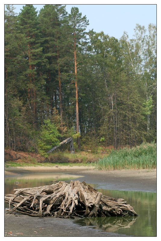Саралы, image of landscape/habitat.