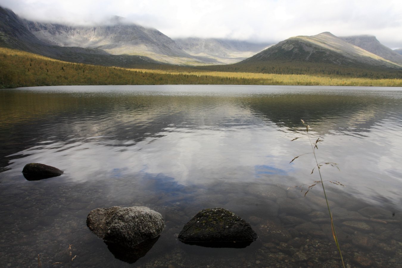 Долина Малого Вудъявра, image of landscape/habitat.