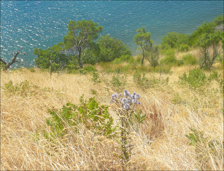 Мыс Мысхако и окрестности, image of landscape/habitat.