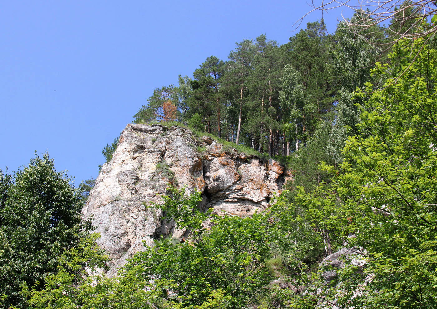 Окрестности Камня Ермак, image of landscape/habitat.