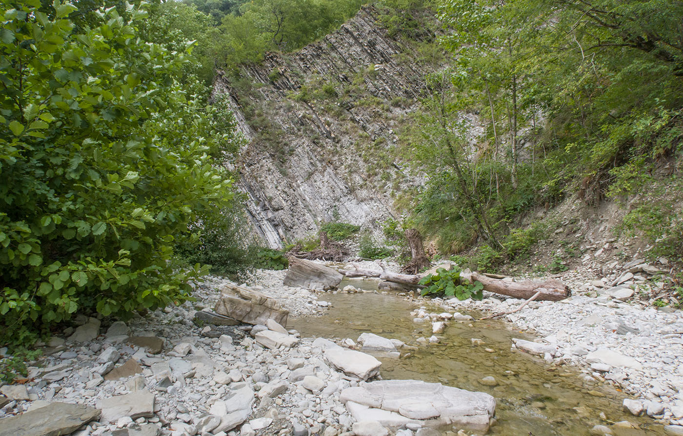 Полковничья щель, image of landscape/habitat.