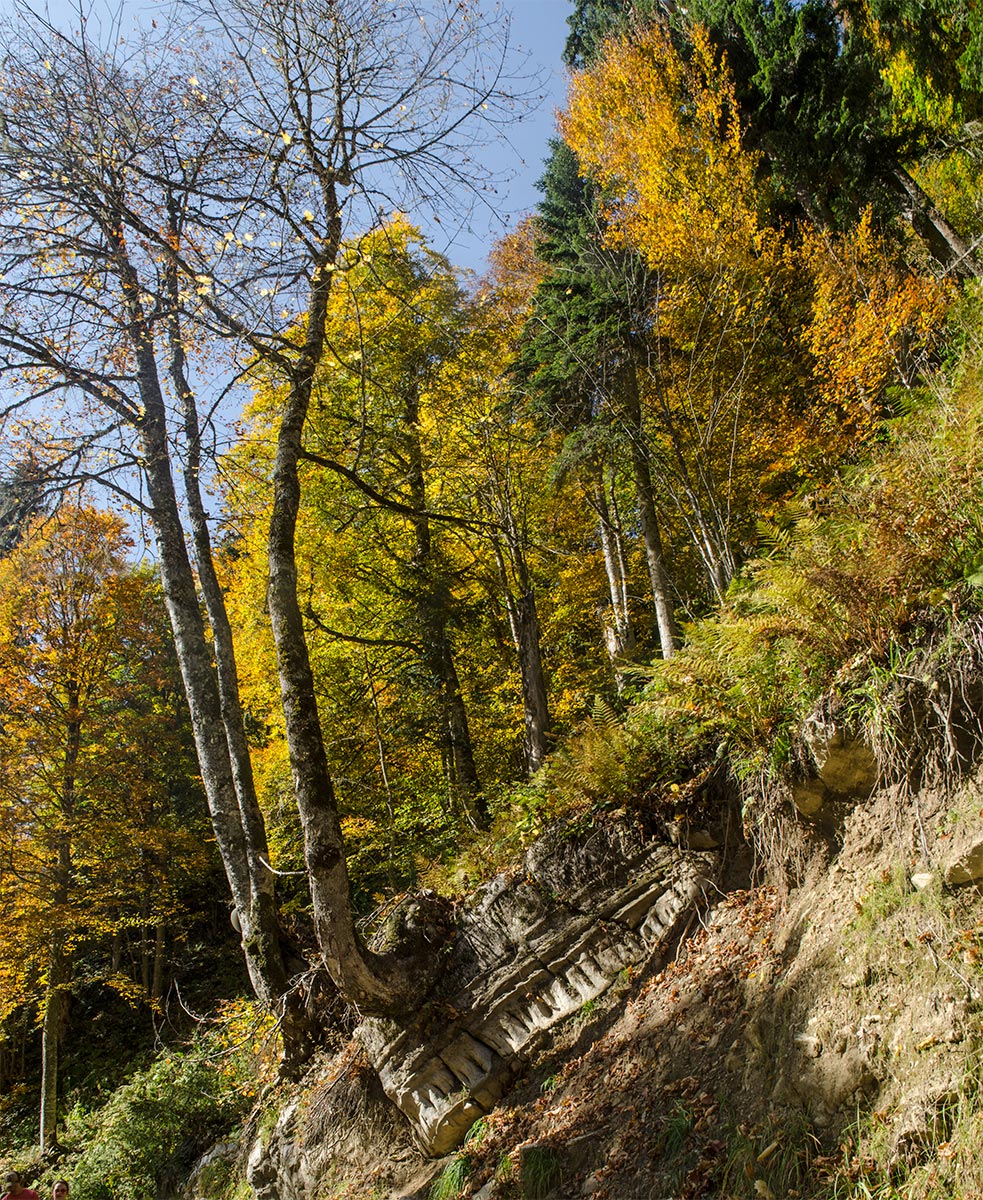 Парк водопадов Менделиха, image of landscape/habitat.