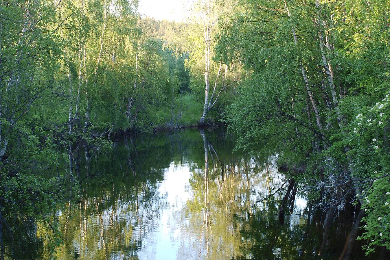 Лувеньга, image of landscape/habitat.