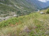 Image of landscape
