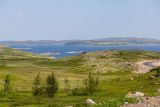 Дорога на Териберку, image of landscape/habitat.
