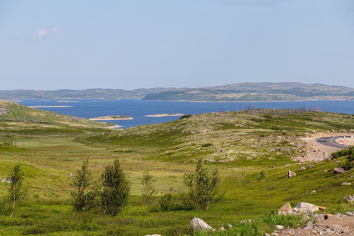 Дорога на Териберку, image of landscape/habitat.