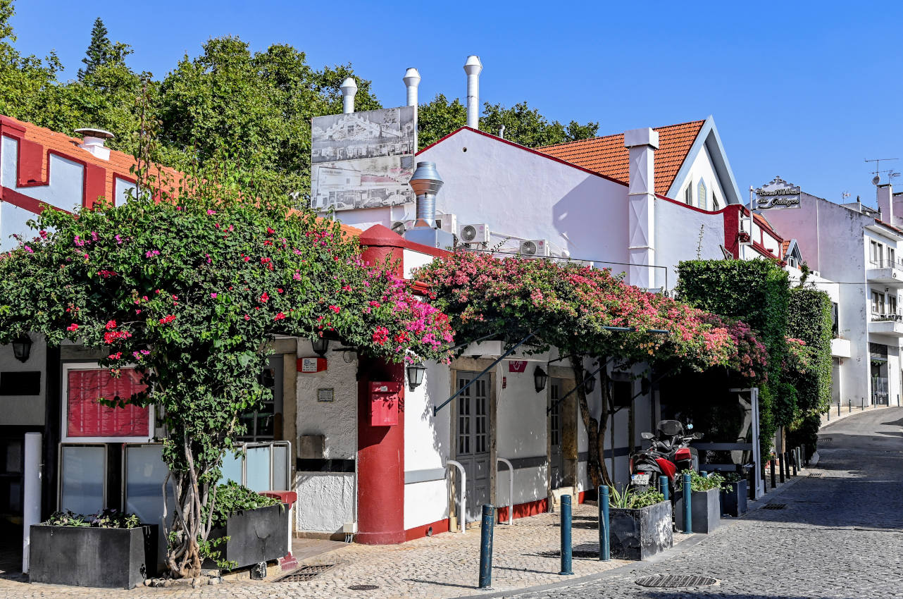 Кашкайш, image of landscape/habitat.