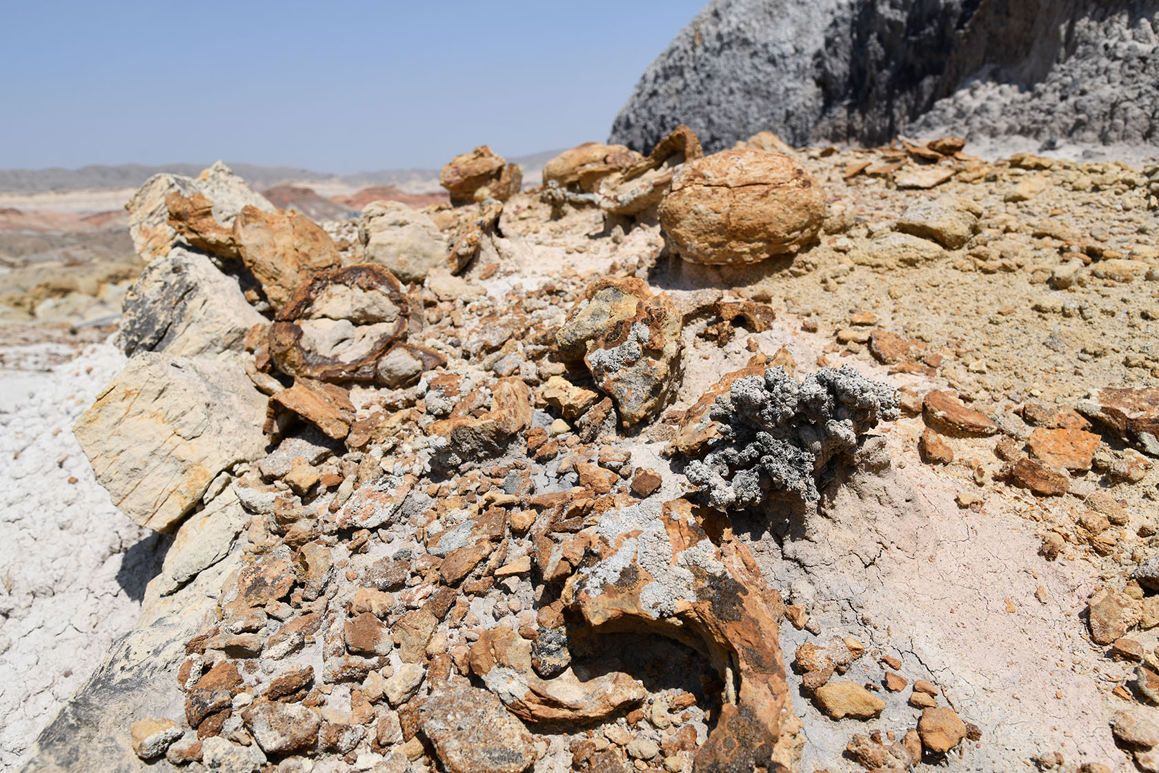 Мадыген, image of landscape/habitat.