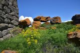Image of landscape