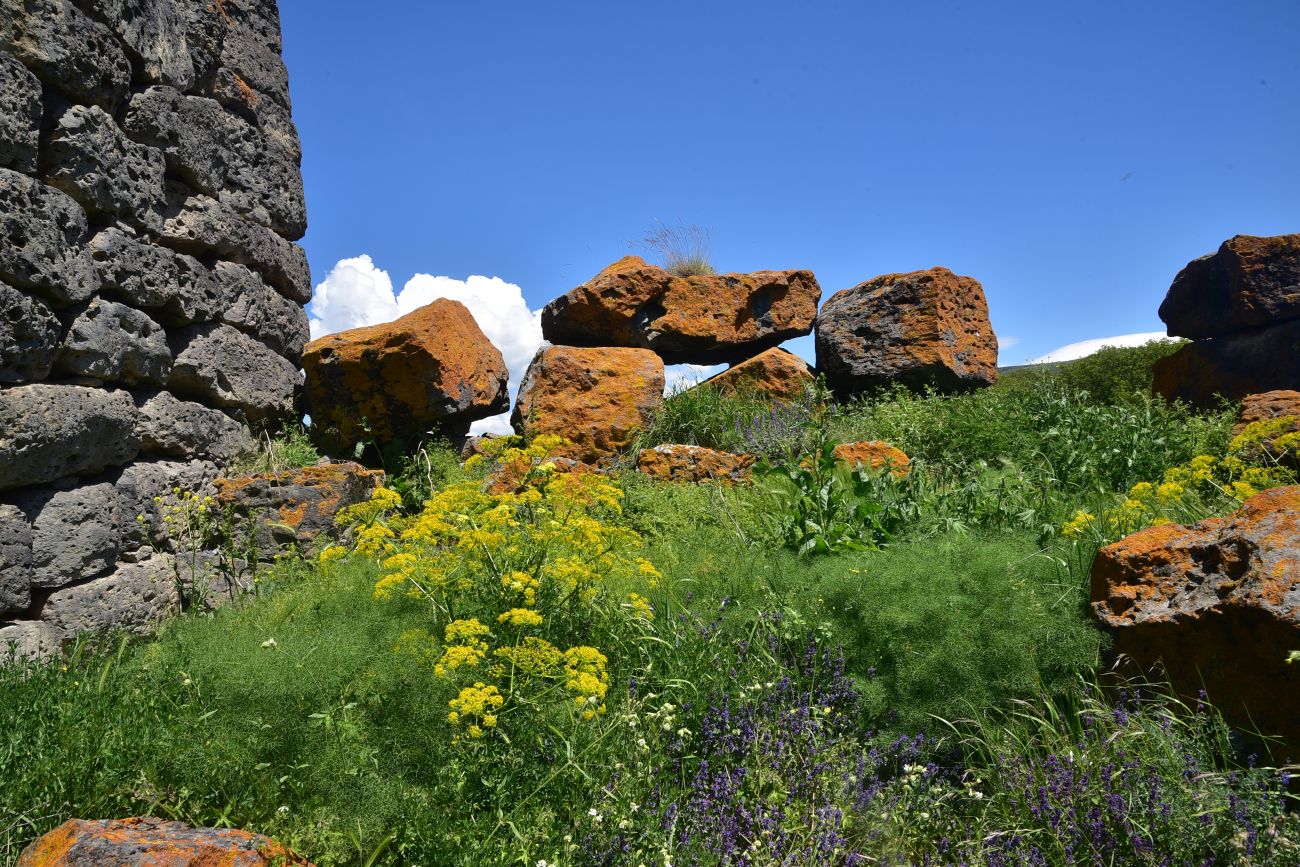 Окрестности села Саро, image of landscape/habitat.