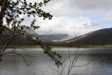 Image of landscape
