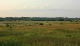 Каспля, image of landscape/habitat.