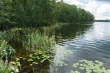 Харьюн Портти и окрестности, image of landscape/habitat.