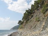 Image of landscape