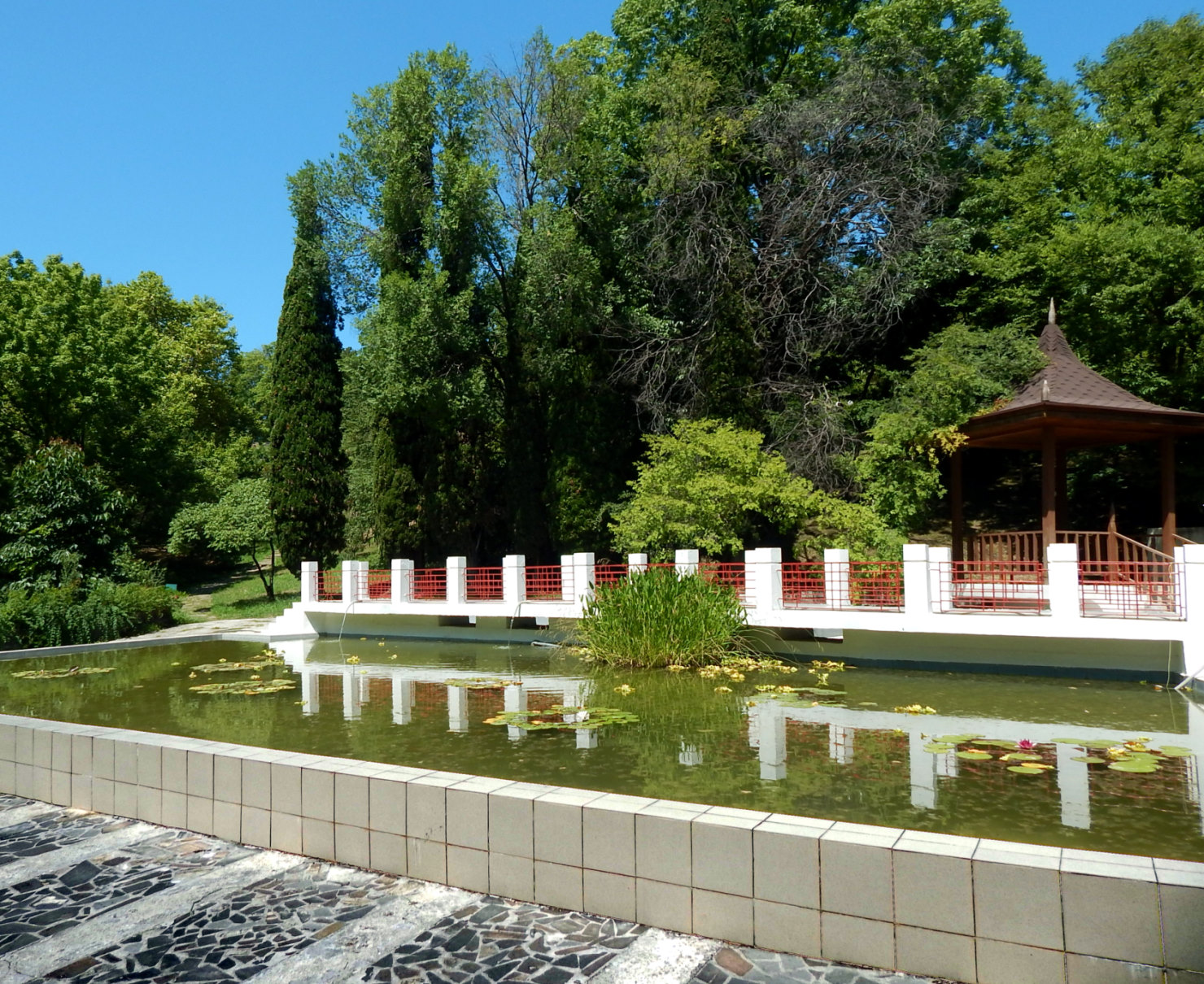 Сочинский Дендрарий, image of landscape/habitat.