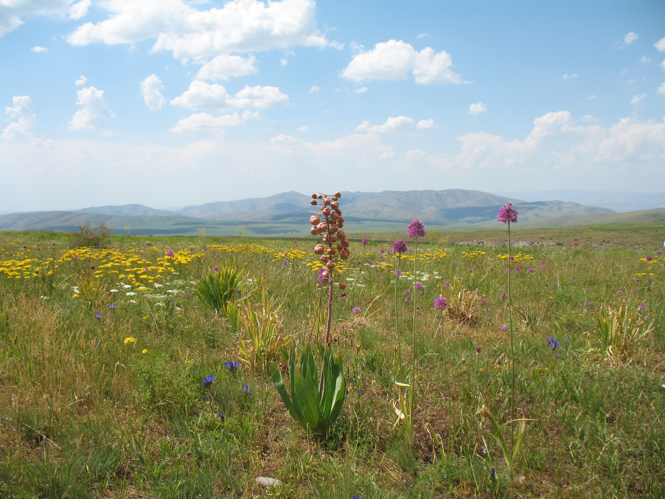 Таяк-Салды, image of landscape/habitat.