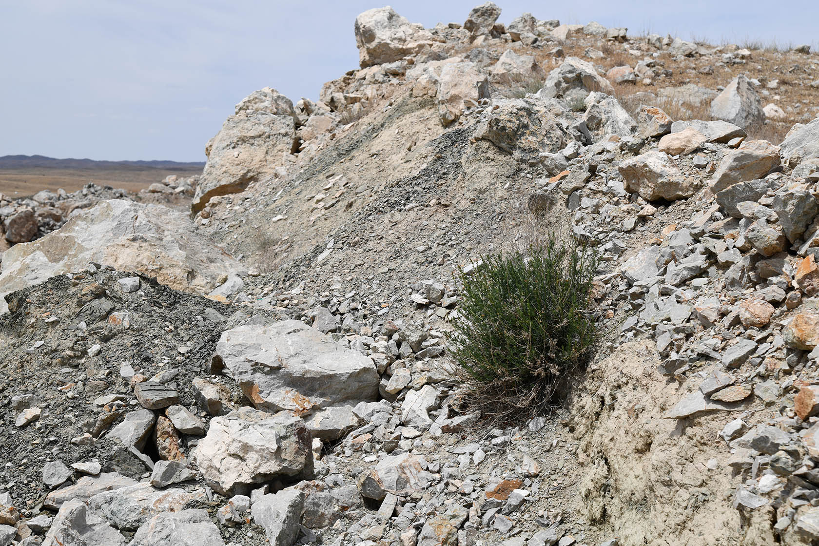 Ак-Чеку, image of landscape/habitat.