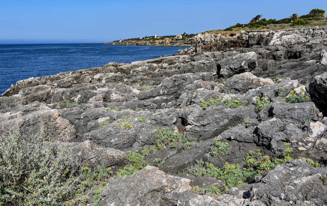 Кашкайш, image of landscape/habitat.