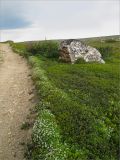 Image of landscape