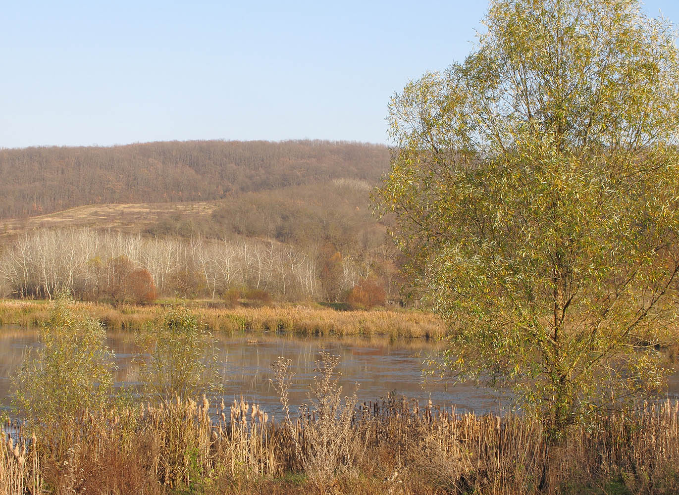 Шибик, image of landscape/habitat.