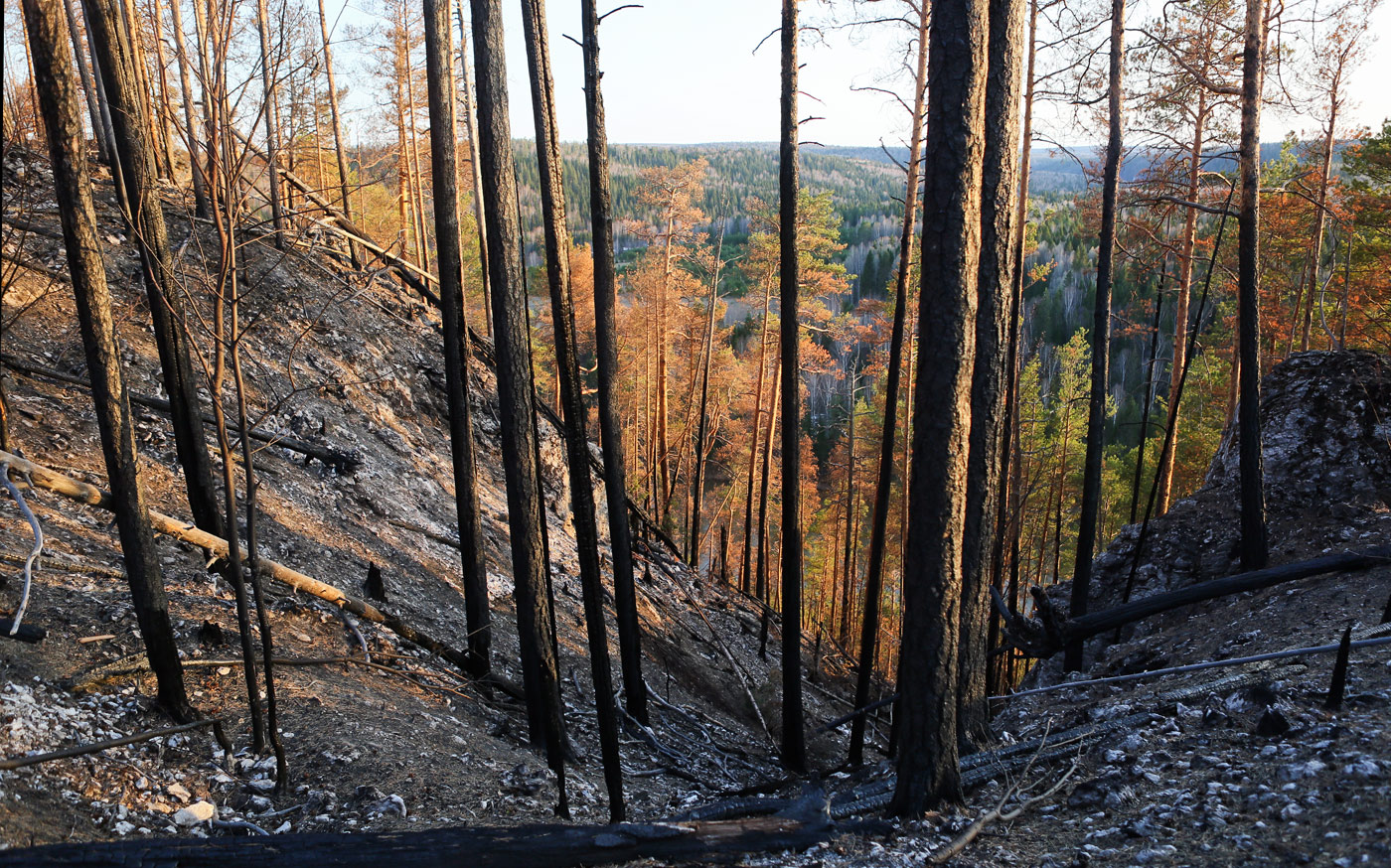 Камень Ростун и его окрестности, image of landscape/habitat.